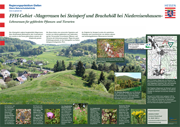 FFH-Gebiet Magerrasen bei Steinperf und Brachehöll bei Niedereisenhausen